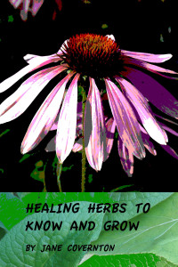 healing herbs front 2 copy